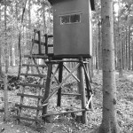 Pushen, Pullen und der neue SPUR VarioSpeed-1